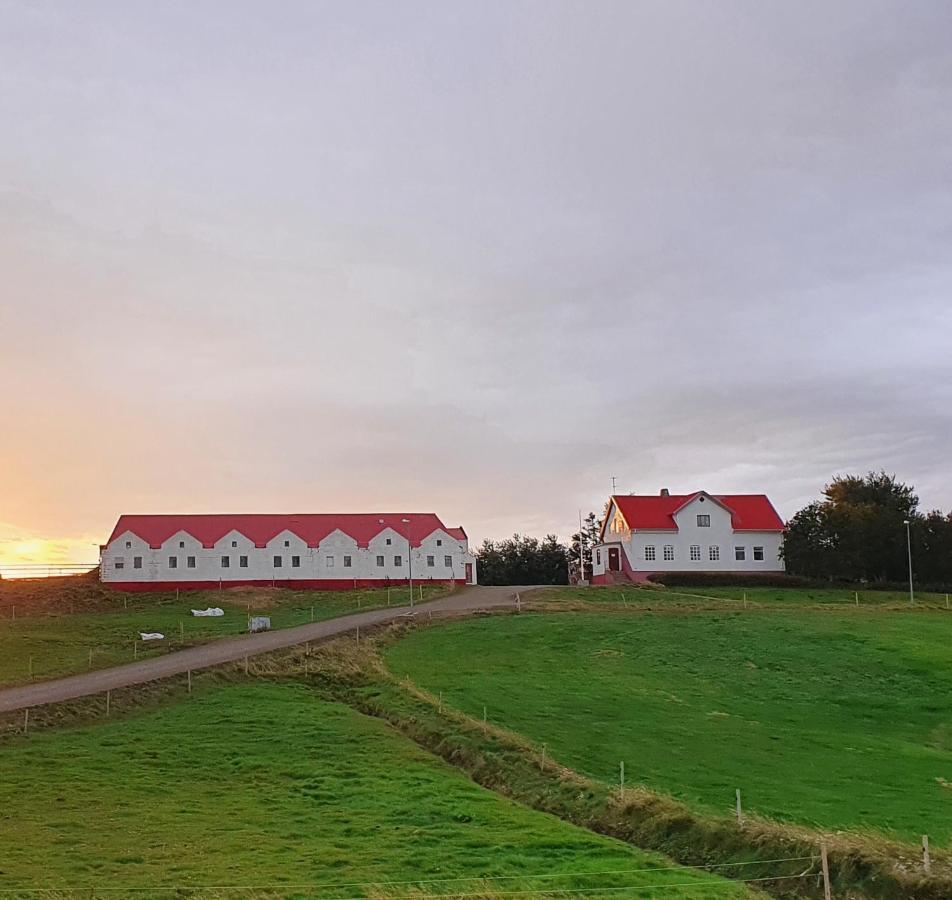 Helluland Guesthouse Saudarkrokur Luaran gambar